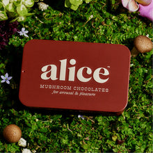 Load image into Gallery viewer, Alice Mushrooms - Happy Endings Chocolate
