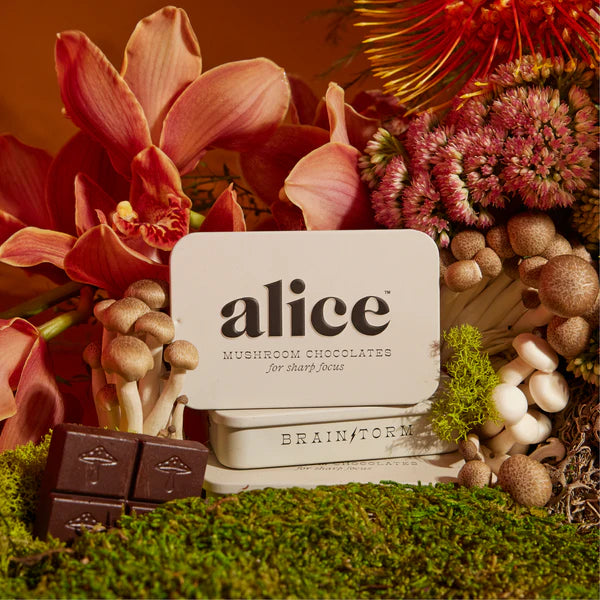 Alice Mushrooms - Brainstorm Chocolate