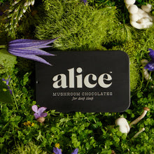 Load image into Gallery viewer, Alice Mushrooms - Nightcap Chocolate
