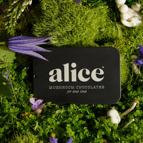 Alice Mushrooms - Nightcap Chocolate